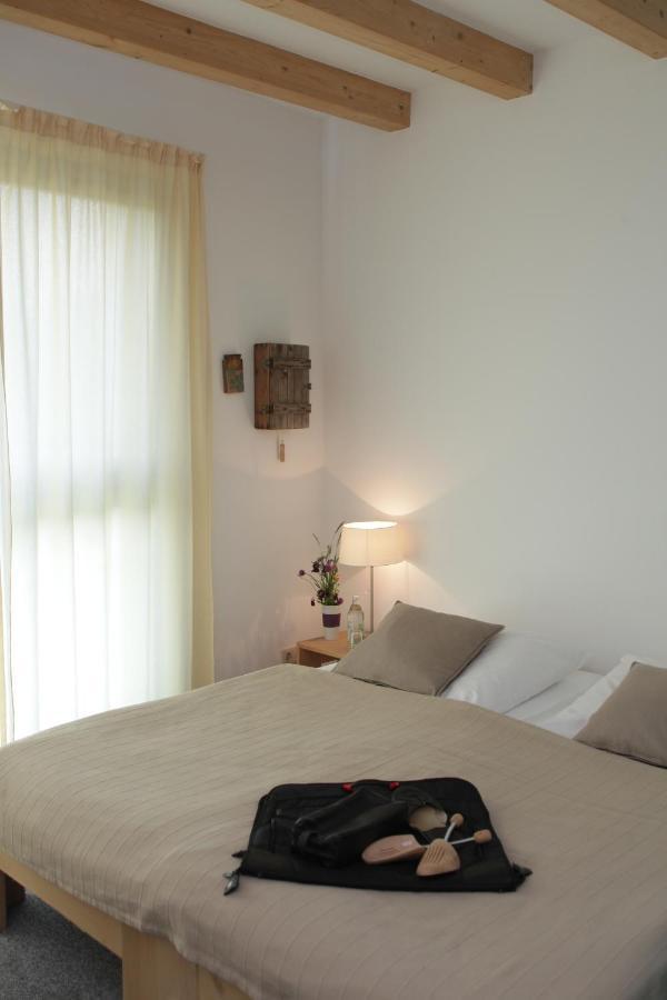 Hotel Alanus Gastehaus Alfter Zewnętrze zdjęcie