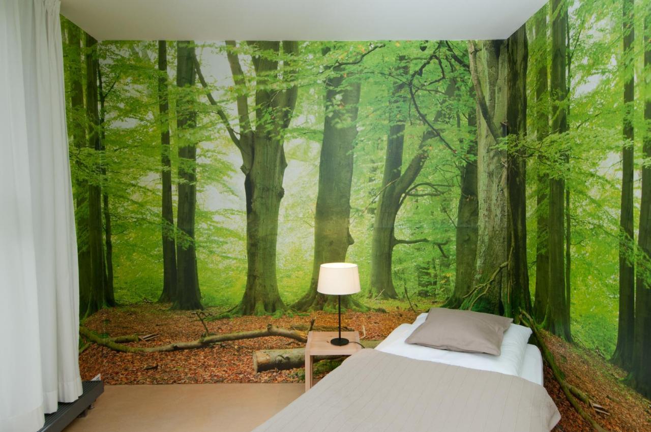 Hotel Alanus Gastehaus Alfter Zewnętrze zdjęcie